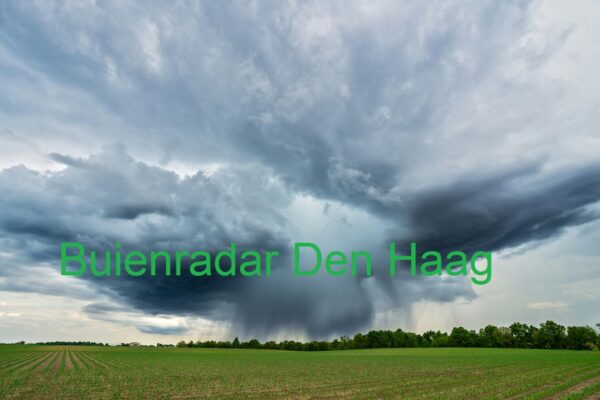 Buienradar Den Haag