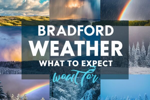 bradford weather